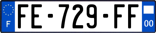 FE-729-FF