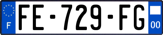 FE-729-FG