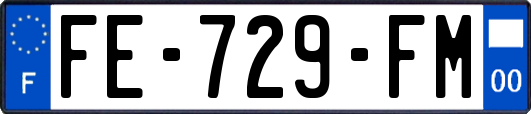 FE-729-FM