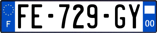 FE-729-GY
