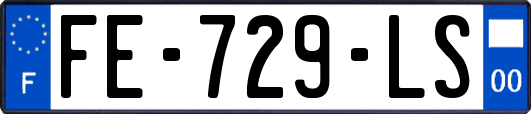 FE-729-LS