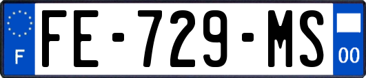 FE-729-MS