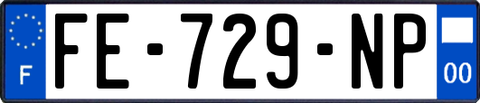 FE-729-NP