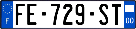 FE-729-ST