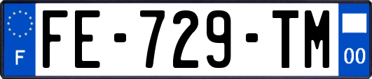 FE-729-TM