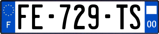 FE-729-TS