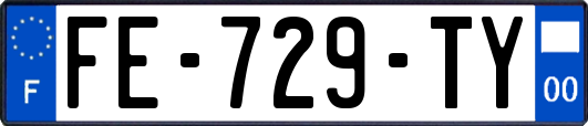 FE-729-TY