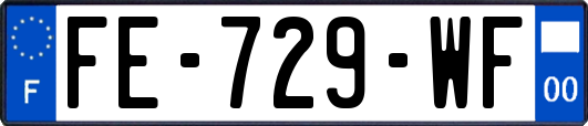 FE-729-WF