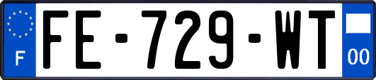 FE-729-WT
