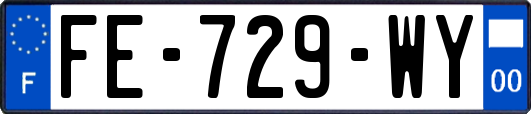 FE-729-WY