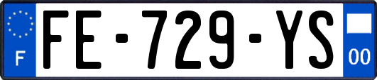 FE-729-YS