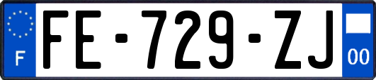 FE-729-ZJ