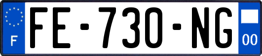 FE-730-NG