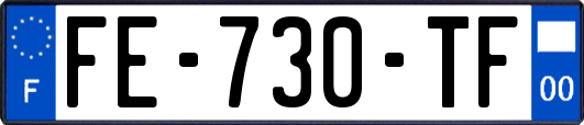 FE-730-TF