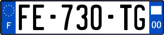 FE-730-TG