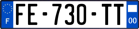 FE-730-TT