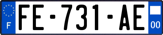 FE-731-AE