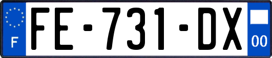 FE-731-DX