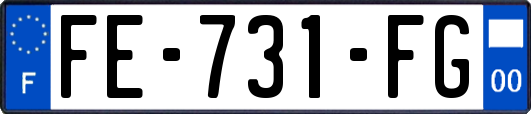 FE-731-FG