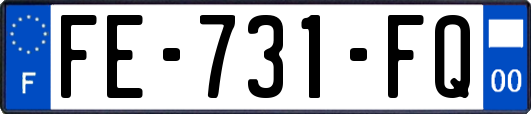 FE-731-FQ
