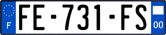 FE-731-FS