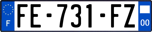 FE-731-FZ
