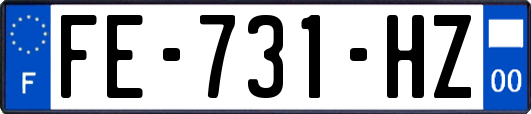 FE-731-HZ