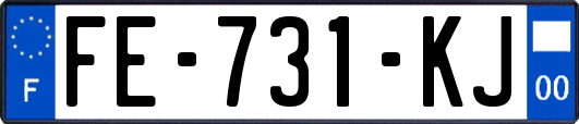 FE-731-KJ