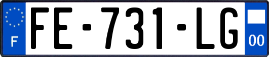 FE-731-LG