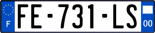 FE-731-LS