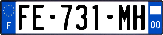 FE-731-MH