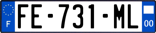 FE-731-ML