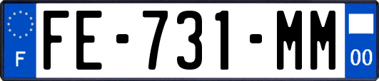 FE-731-MM