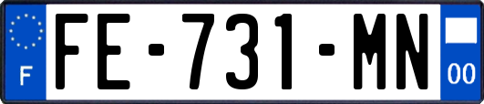 FE-731-MN