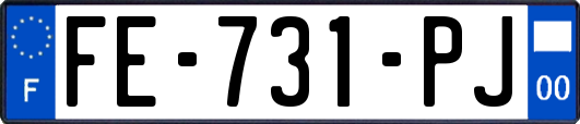 FE-731-PJ