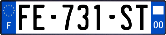 FE-731-ST