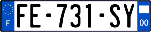 FE-731-SY