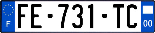 FE-731-TC