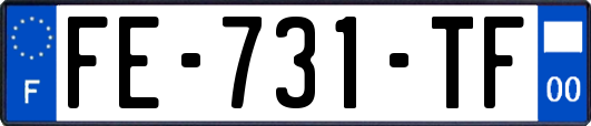 FE-731-TF