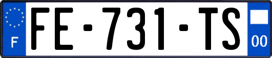 FE-731-TS