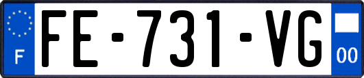 FE-731-VG