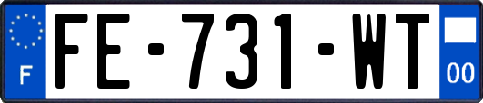 FE-731-WT