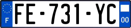 FE-731-YC