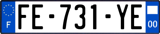 FE-731-YE