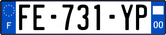 FE-731-YP