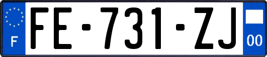 FE-731-ZJ