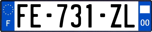 FE-731-ZL