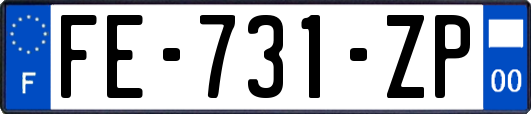 FE-731-ZP