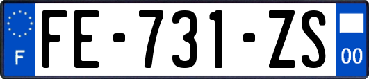 FE-731-ZS