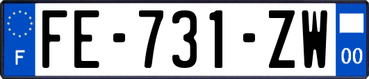 FE-731-ZW